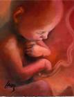 baby in womb2